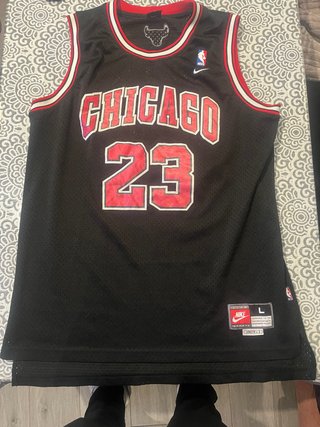 Camiseta Chicago Bulls Jordan 23 Nike