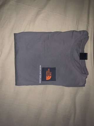 Camiseta The North Face Gris Talla S