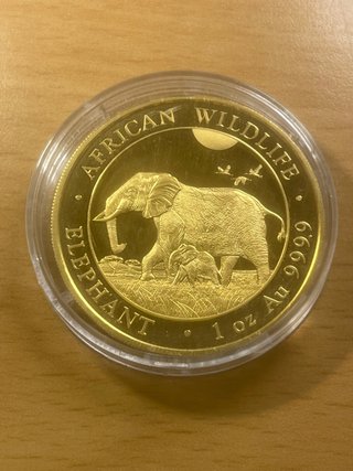 Moneda Oro 1oz Elefante (Cambio por Furgo)