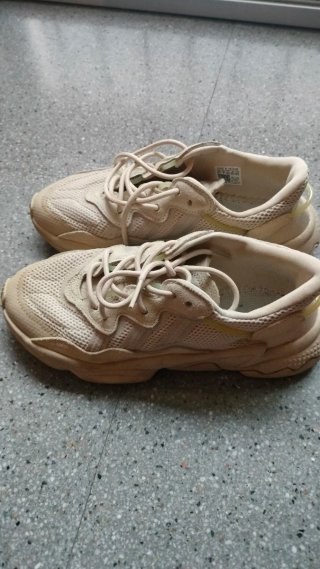 Bambas Adidas Beige