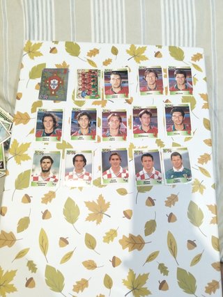 Lote 15 Cromos Panini Euro 96