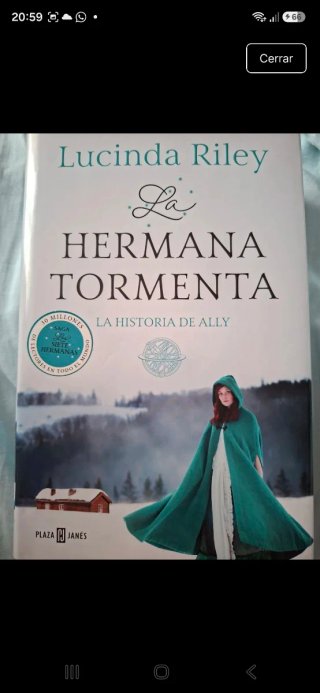 La hermana tormenta: la historia de Ally