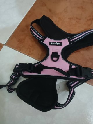 Arnés para perro Rabbitgoo Talla L