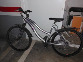 Bicicleta de paseo gris