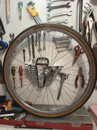 Rueda de Bicicleta trasera.