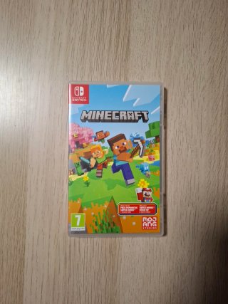 Minecraft Nintendo Switch