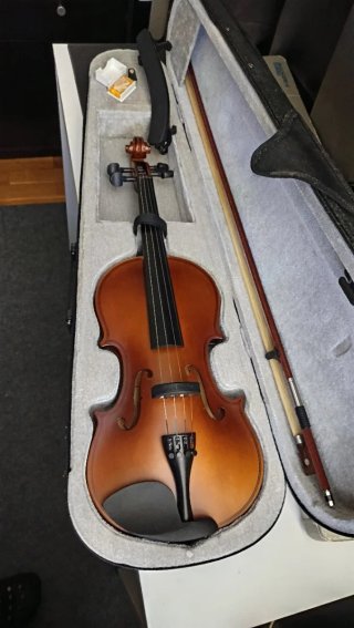 Violín Amadeus VA101 4/4