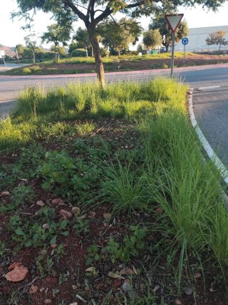 Jardinería y limpieza de parcelas