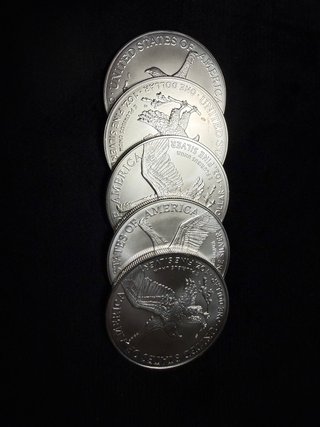 Lote de 5 Onzas Plata American Eagle 2026