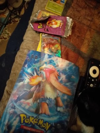 Lote de 100 Cartas Pokémon