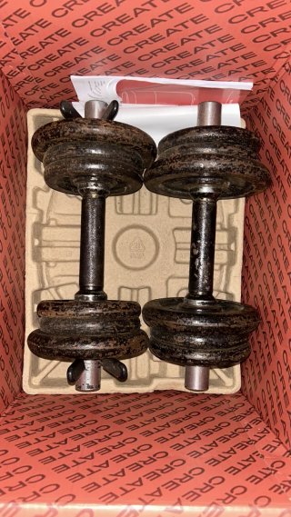 Set de 2 Pesas de 10kg
