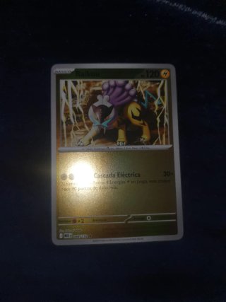 Carta Pokémon Raikou 048/132