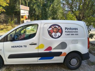 Servicios de Pintura Profesional