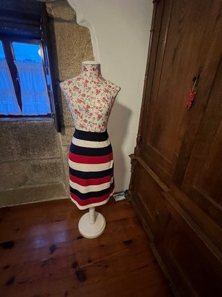 Falda de rayas azul y roja