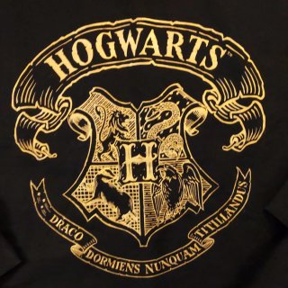 Sudadera Hogwarts Negra