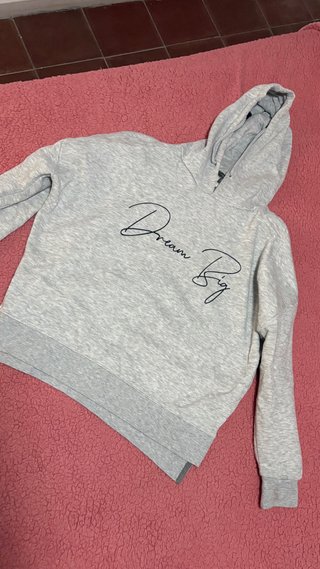 Sudadera Gris con Estampado