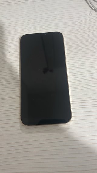 iPhone 12 Pro Max Gold