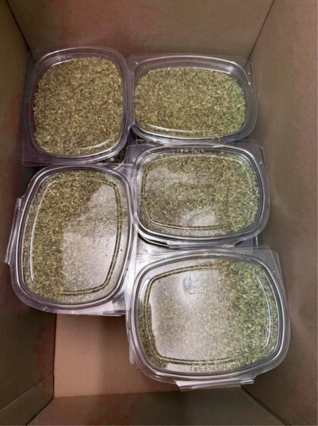Set di 5 contenitori con erbe aromatiche origano
