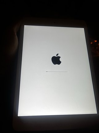 iPad mini Apple