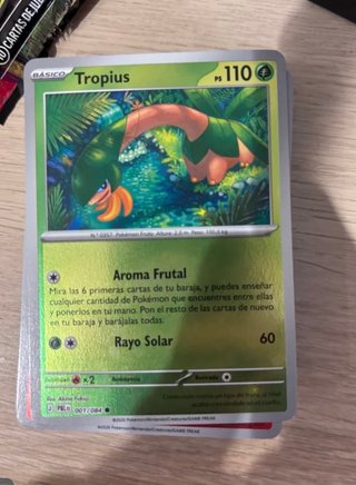 Bulk de Cartas Pokémon Oscuridad Absoluta