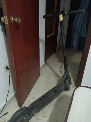 Patinete Eléctrico Xiaomi