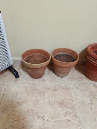 Set di 2 Vasi in Terracotta