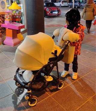 Carrito Bugaboo Bee 3 con accesorios
