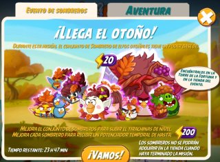 Hola