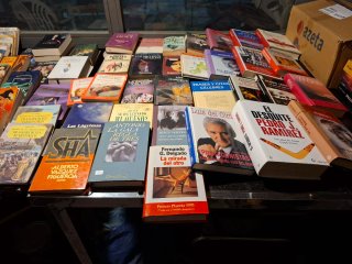 Lote de libros variados, 65 Ingles y 160 Español