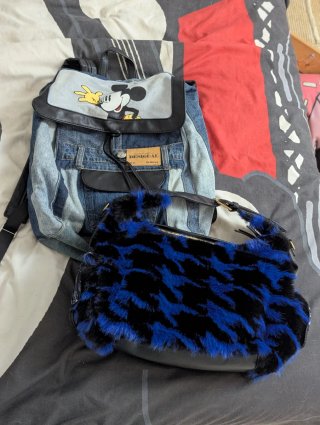 Lote Bolso y Mochila Desigual