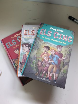 Els cinc a l'aiguamoll del misteri