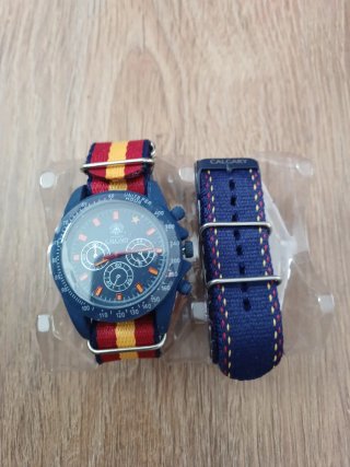 Reloj Calgary con Correa Intercambiable