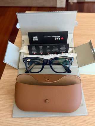 Ray ban meta 2 wayfarer