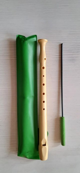 Flauta dulce con funda