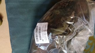 2 Chambergos Boscoso Militar Talla M
