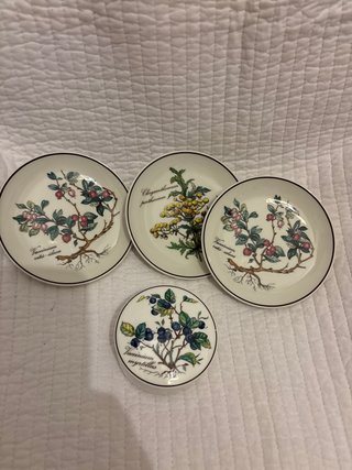 Set 4 Piezas Villeroy & Boch Botanica