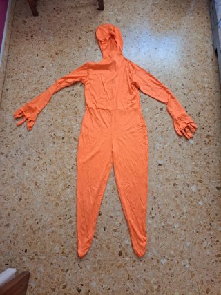 Disfraz de Lorax