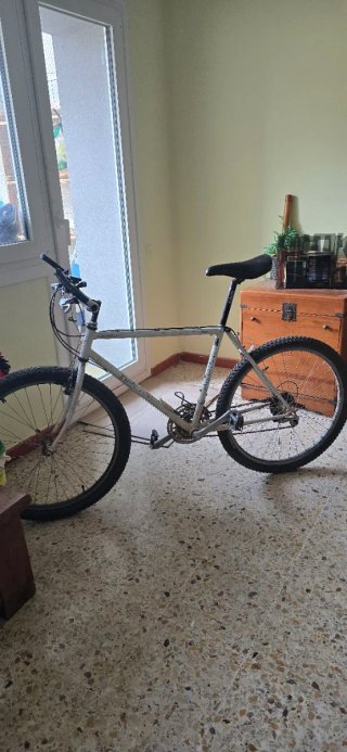 Bicicleta Pinarello para restaurar