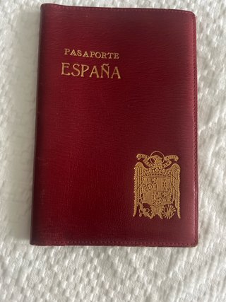 Funda Vintage de Piel para Pasaporte