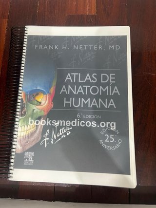 Atlas de Anatomía Humana - Netter (6ª Ed.) Encuade