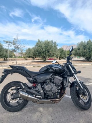 Honda Hornet CB600F 102cv. Junio 2010 Muy cuidada