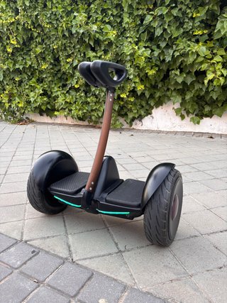 Patinete Eléctrico Xiaomi Segway Ninebot mini pro