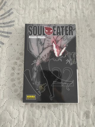 Soul eater 22