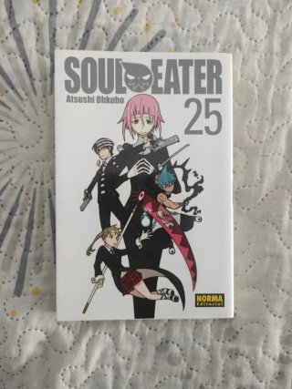 Soul Eater 25