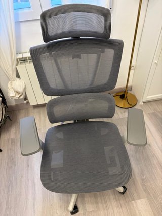 Silla ergonómica de oficina FlexiSpot
