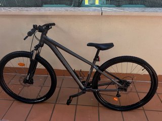 Bicicleta de Montaña Gris