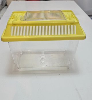 Pecera pequeña de plástico