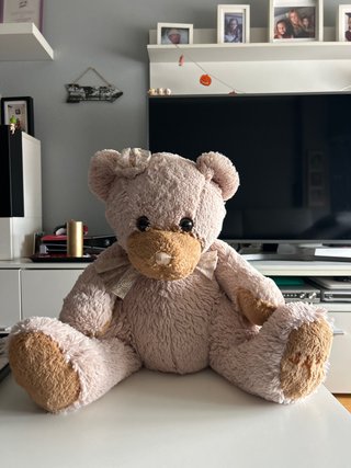 Oso de peluche
