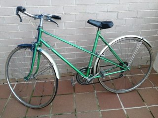 Bicicleta de Paseo Verde