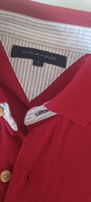 Polo Tommy (camisa Massimo Dutti regalo)